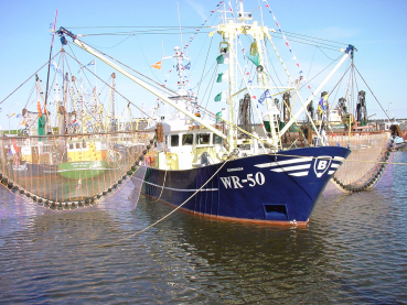 Nordseekrabben Kutter