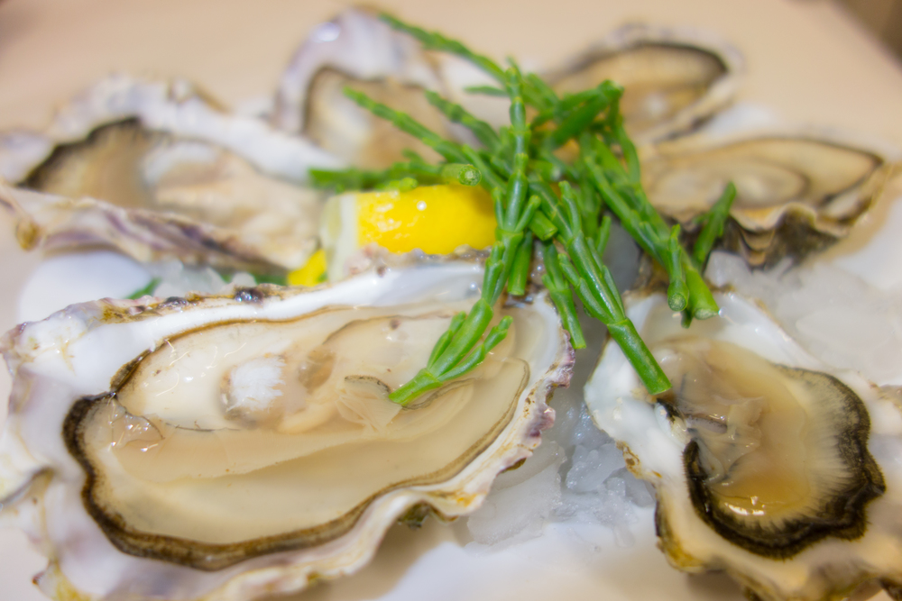 ATLANTIK FISCH Austern kaufen in Hamburg oder Online Donegal Austern