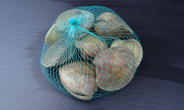 Clams 1 kg